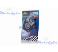 Прокладки циліндра Delta / Alpha 50cc Maxi