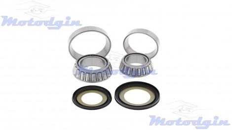 Подшипник руля Honda Silver Wing / Shadow All balls 22-1037