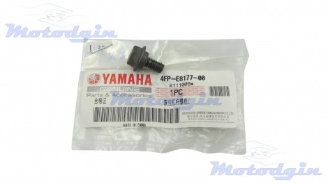 Болт крепления кулачка фиксации переключения передач Yamaha YBR125