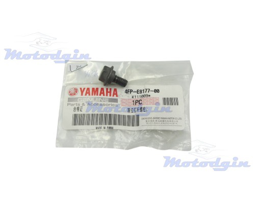 Болт крепления кулачка фиксации переключения передач Yamaha YBR125