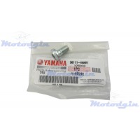 Болт тормозного диска Yamaha YBR 125 2005-2017г