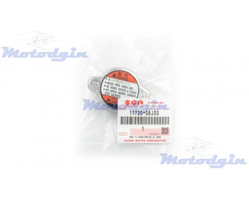 Кришка радіатора Suzuki Avenis / Epicuro 99-2001г