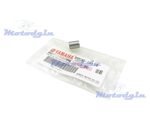 Направляющая картера двигателя Yamaha YBR 125