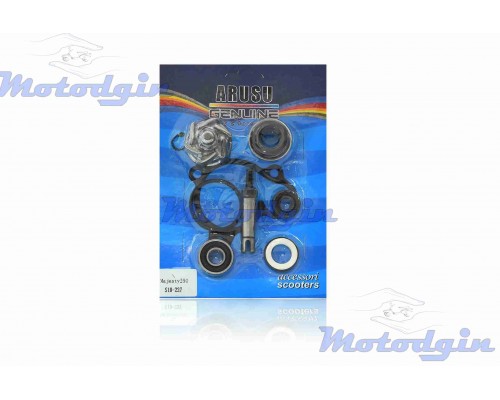 Ремкомплект помпы Yamaha YP250