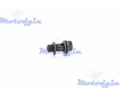 Болт супорта скутера M10 L20