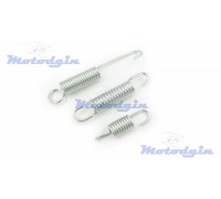 Пружины подножки Delta / Alpha комплект