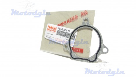 Прокладка під корпус помпи Yamaha Gear UA06J