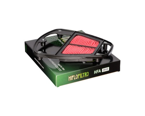 Фильтр воздушный Kawasaki VN 900 Classic (2006-2020) HIFLO HFA2919