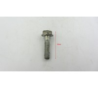 Болт Honda фланцевый М6 Уценка