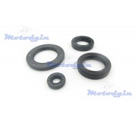 Сальники двигателя CH 250 / Tornado 250