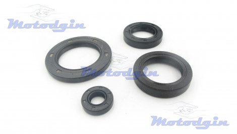 Сальники двигателя CH 250 / Tornado 250