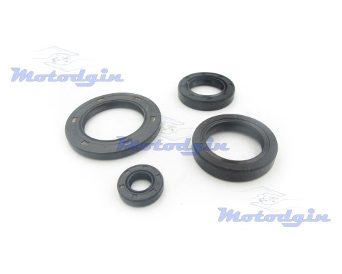 Сальники двигателя CH 250 / Tornado 250