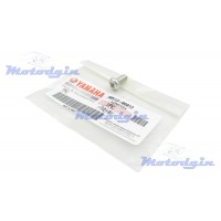 Винт пластины шестерни стартера Yamaha YBR 125