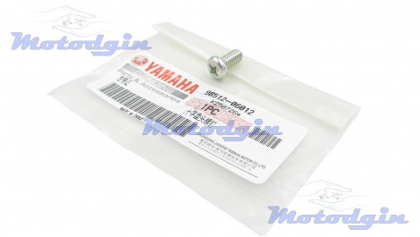 Винт пластины шестерни стартера Yamaha YBR 125