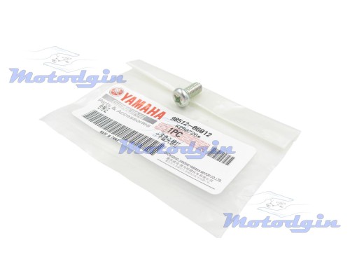 Винт пластины шестерни стартера Yamaha YBR 125