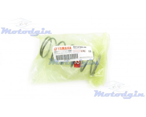 Пружина плати зчеплення Yamaha Gear UA06J/SA36/39J центральна 