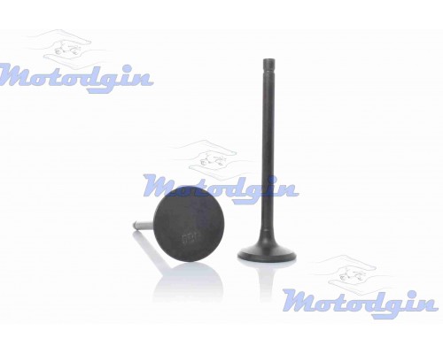 Клапана CBF 125 d23/27 h93/94